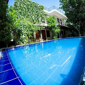 Mirissa Blue Whale Holiday Hotel